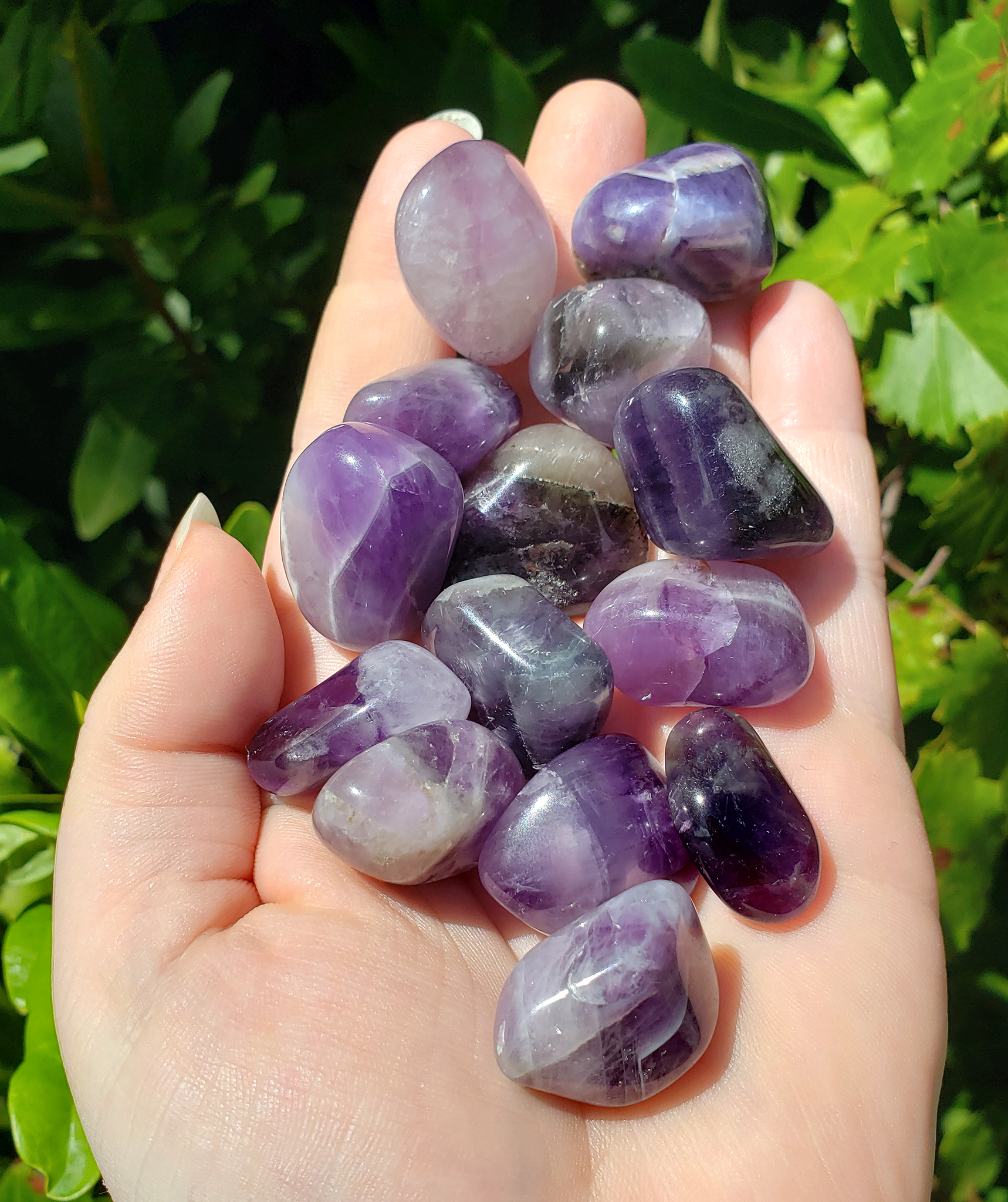 Amethyst Natural Tumbled Gemstone from India - Stone of Inner Power - Bright Sunlight