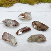 angel phantom quartz crystal pieces on display