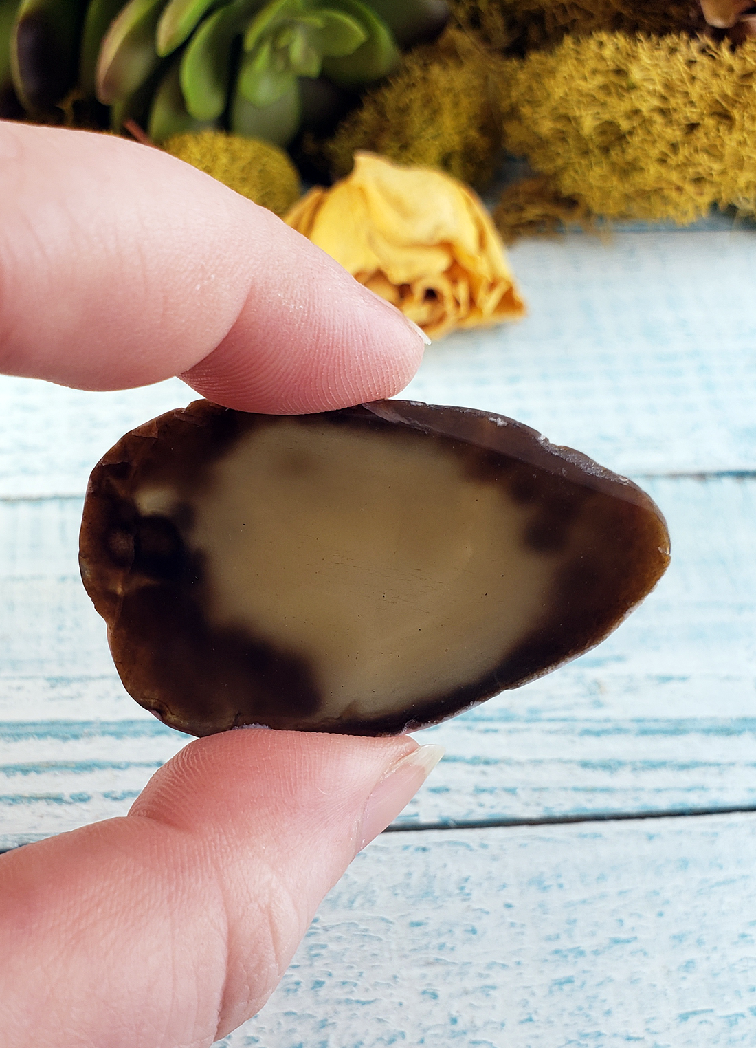 UNDRILLED Dyed Black Agate Gemstone Slice - Small