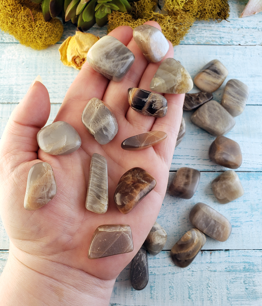 Black Moonstone Natural Tumbled Gemstone - Stone of Mysteries and Secrets - 0.5" - 1"