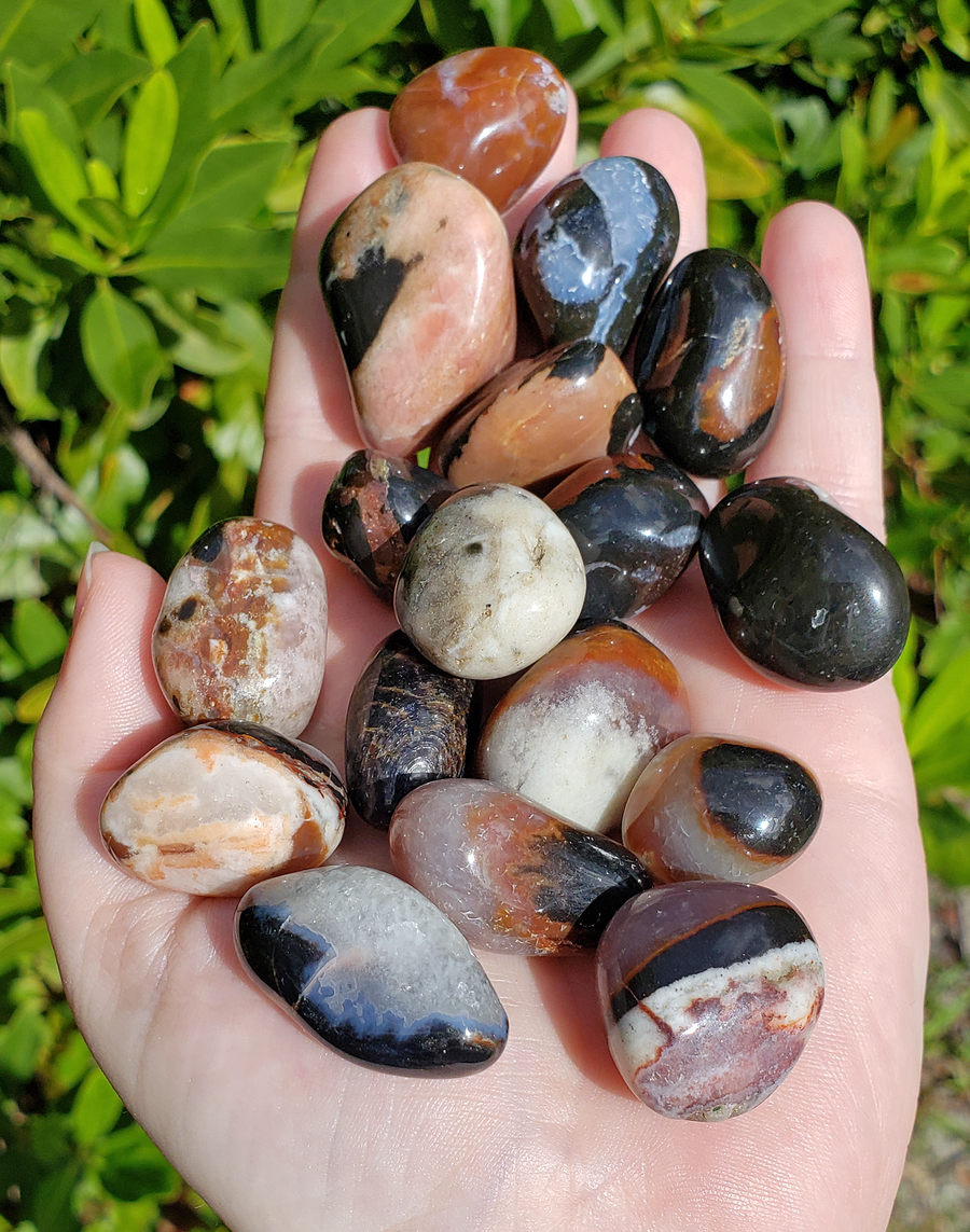 Sardonyx Polished Tumbled Gemstone - Stone of Inner Joy - 0.6" - 1.2"
