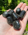 Black Galaxy Jasper Polished Tumbled Gemstone - [ 0.75" - 1" ]