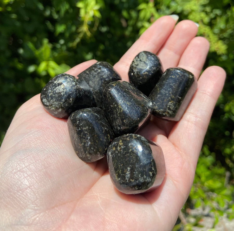 Black Galaxy Jasper Polished Tumbled Gemstone - [ 0.75" - 1" ]