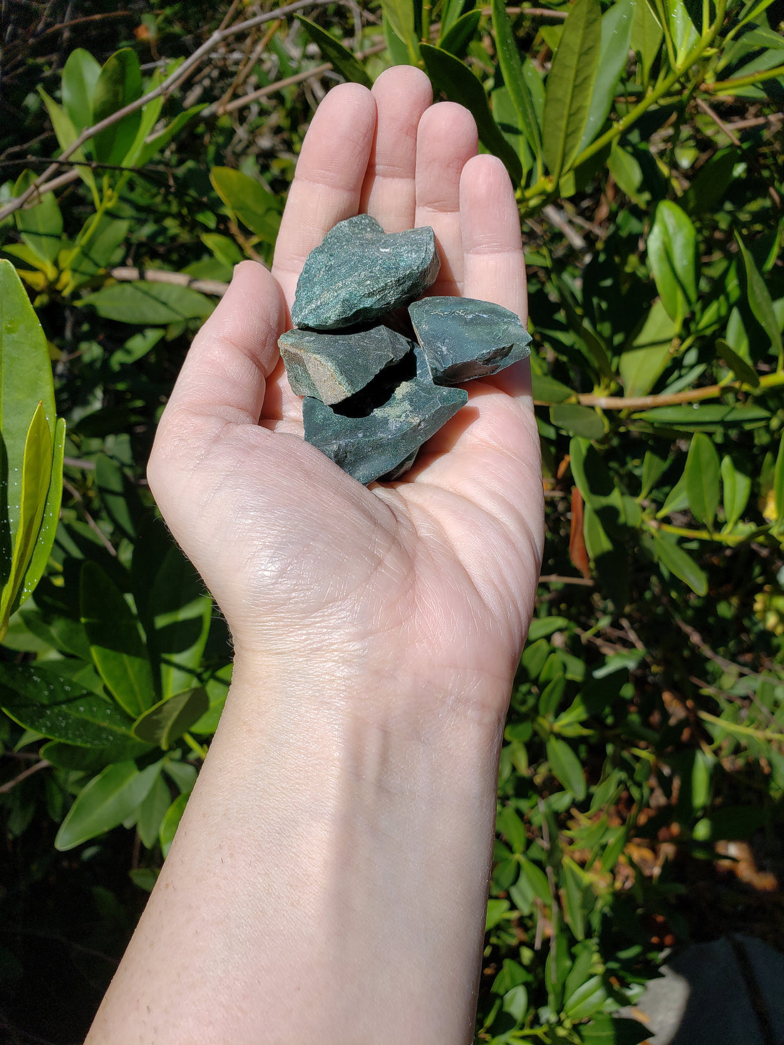 Hand holding four rough bloodstone crystal stones