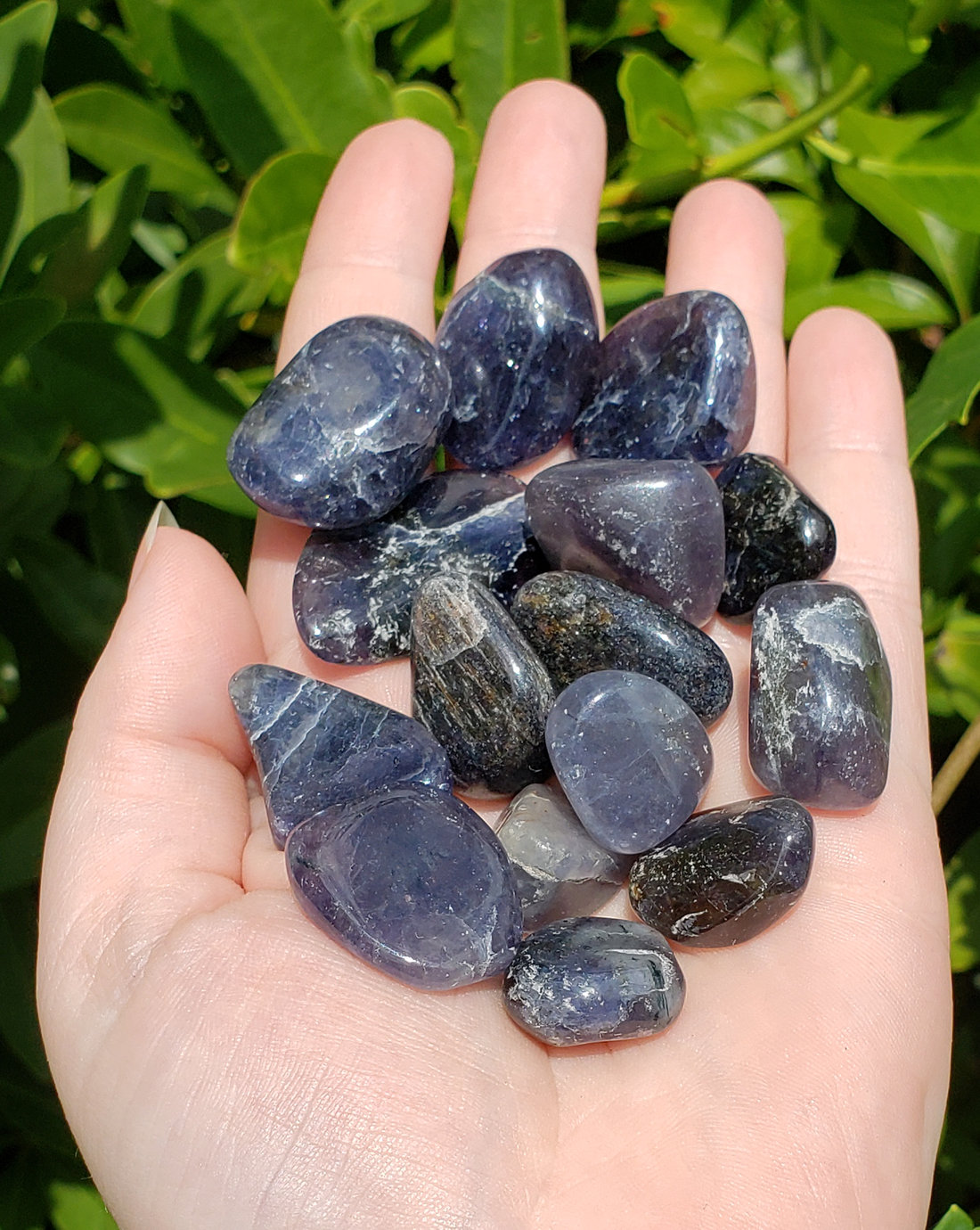 Blue Aventurine Tumbled Gemstone - One Stone or Bulk Wholesale Lots - Outdoor Light