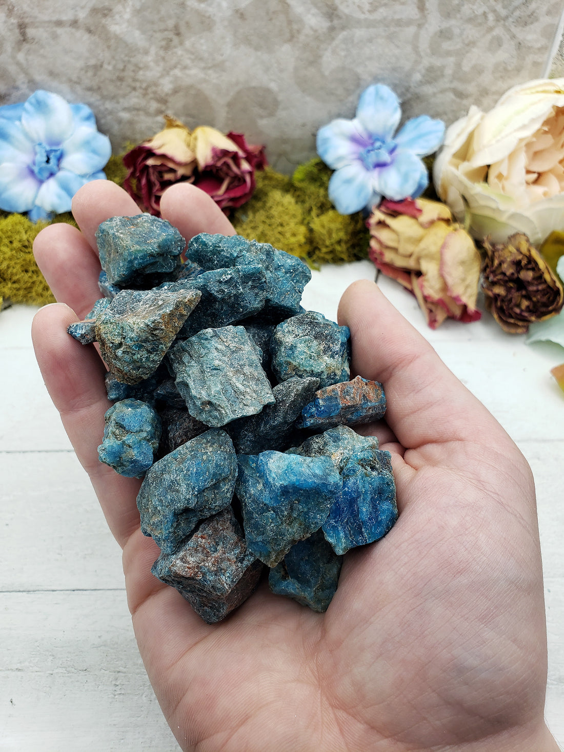 Hand holding several rough blue apatite stones