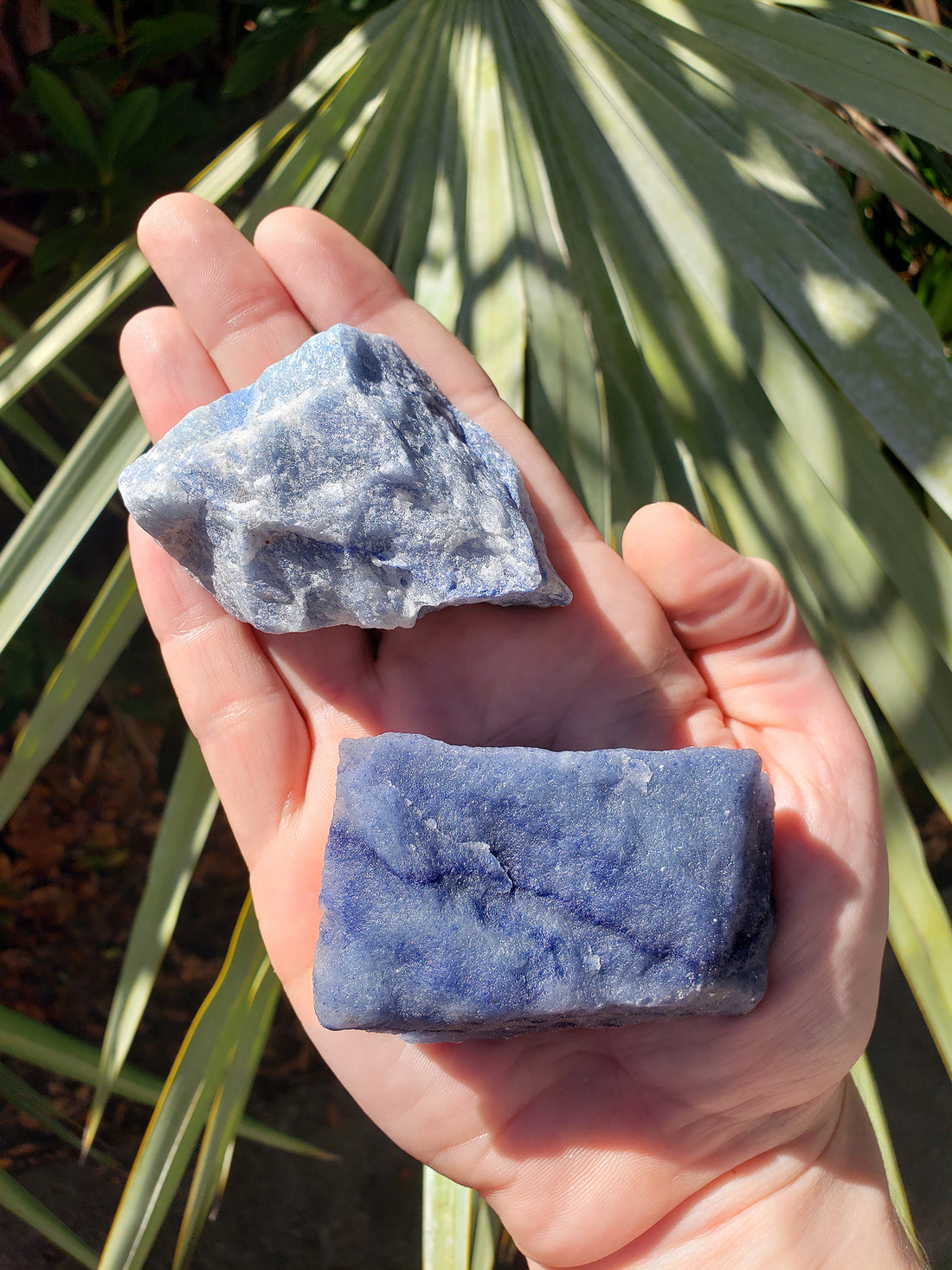 hand holding two rough blue quartz crystal stones in sunlight