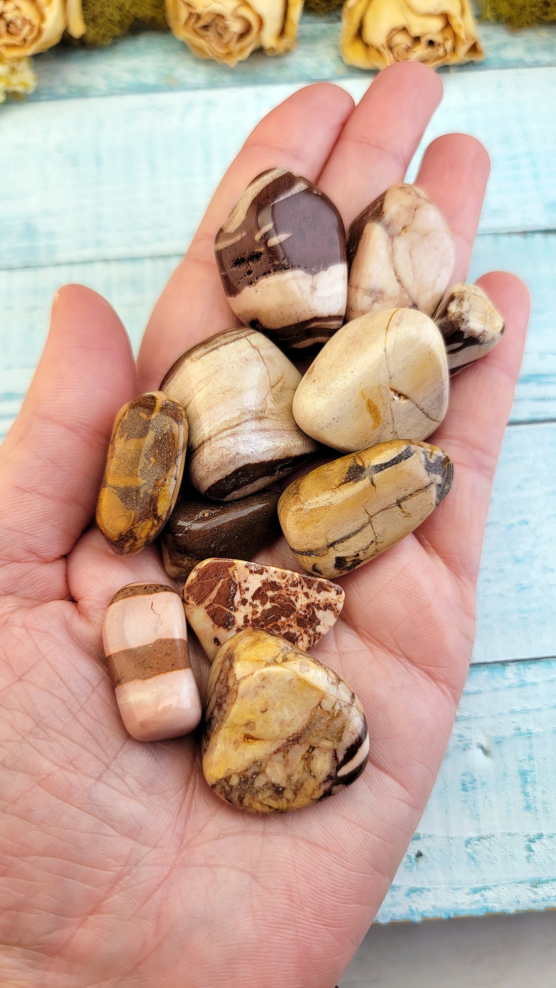 Brown Zebra Jasper Tumble Gems