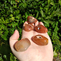 Carnelian Agate Tumbled Freeform Gemstone - [ 1" - 1.5" ] 6