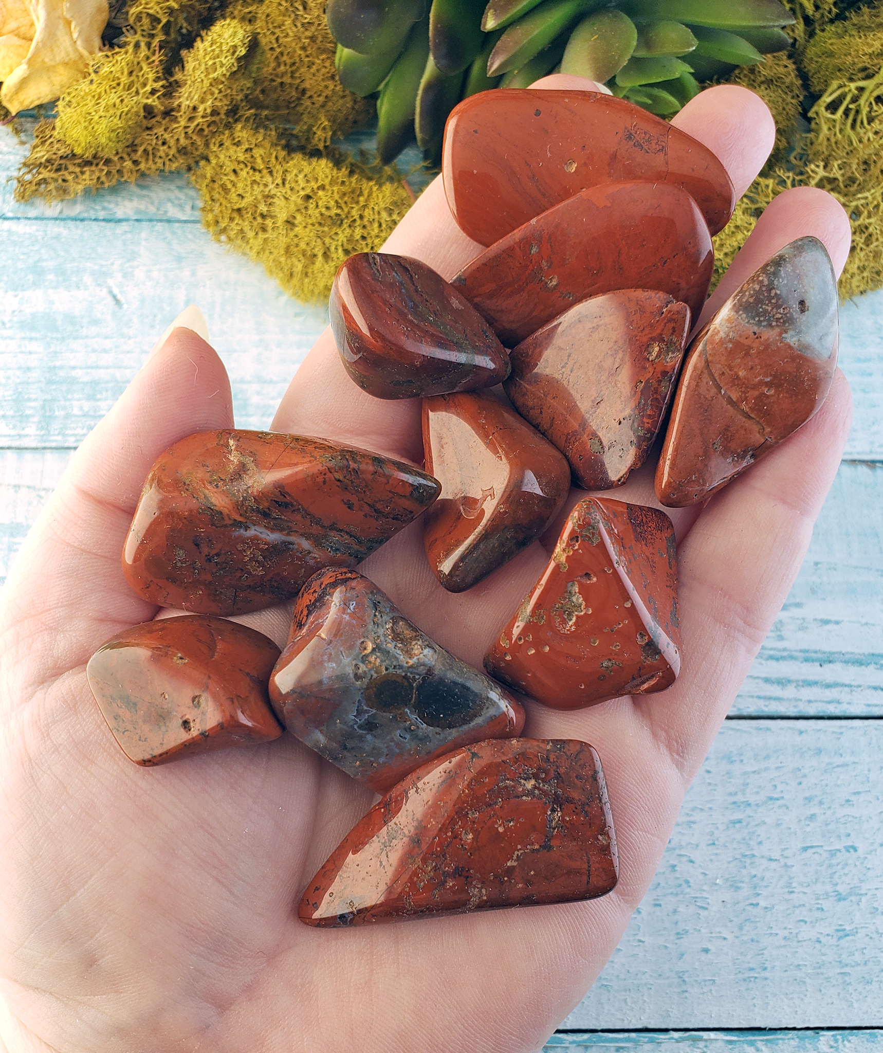 Chestnut Jasper Natural Tumbled Gemstone - Stone of Grounding - Freeform: 0.75&quot; - 1.2&quot;