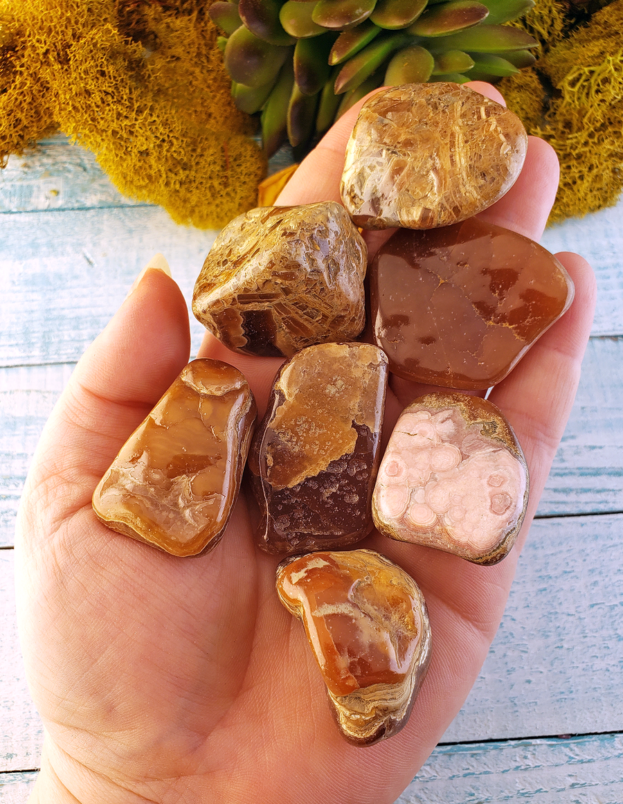 Chocolate Rhodocrosite Natural Tumbled Gemstone - Large Single Stone