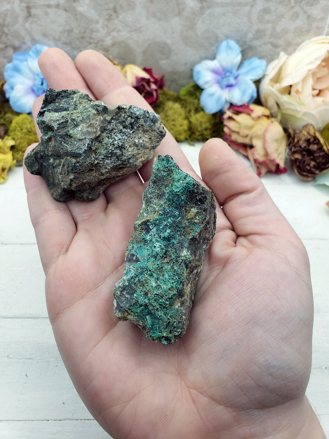 hand holding two rough chrysoprase stones