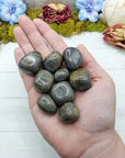 Camouflage jasper stones in hand