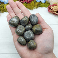 Camouflage jasper stones in hand