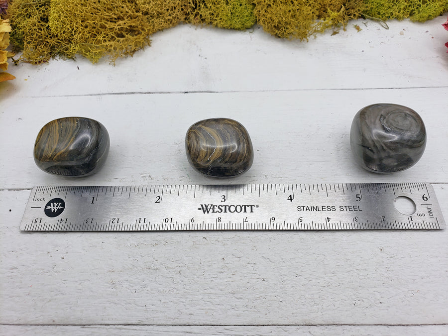 Camouflage jasper pieces compared on ruler