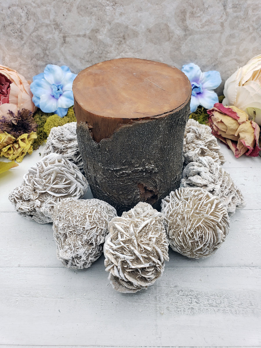 prop log with selenite desert rose stone pieces