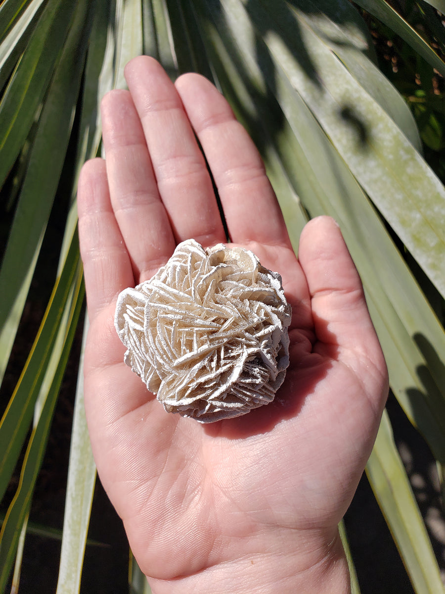 hand holding selenite desert rose crystal in sunlight