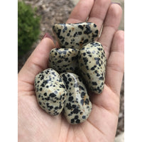 Dalmatian Jasper Tumbled Gemstone - Single Stone