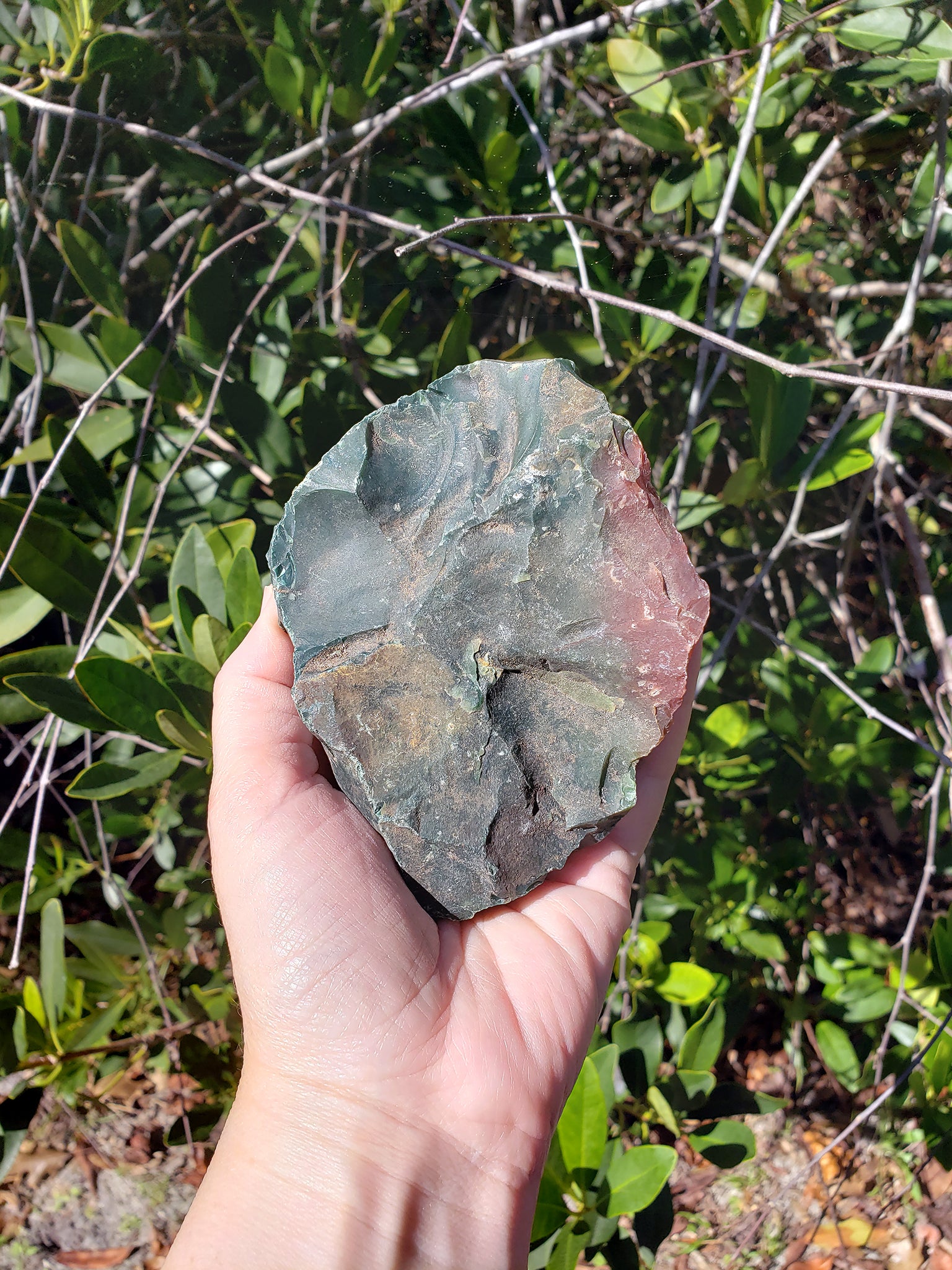 hand showing large rough fancy jasper stone in sunlight