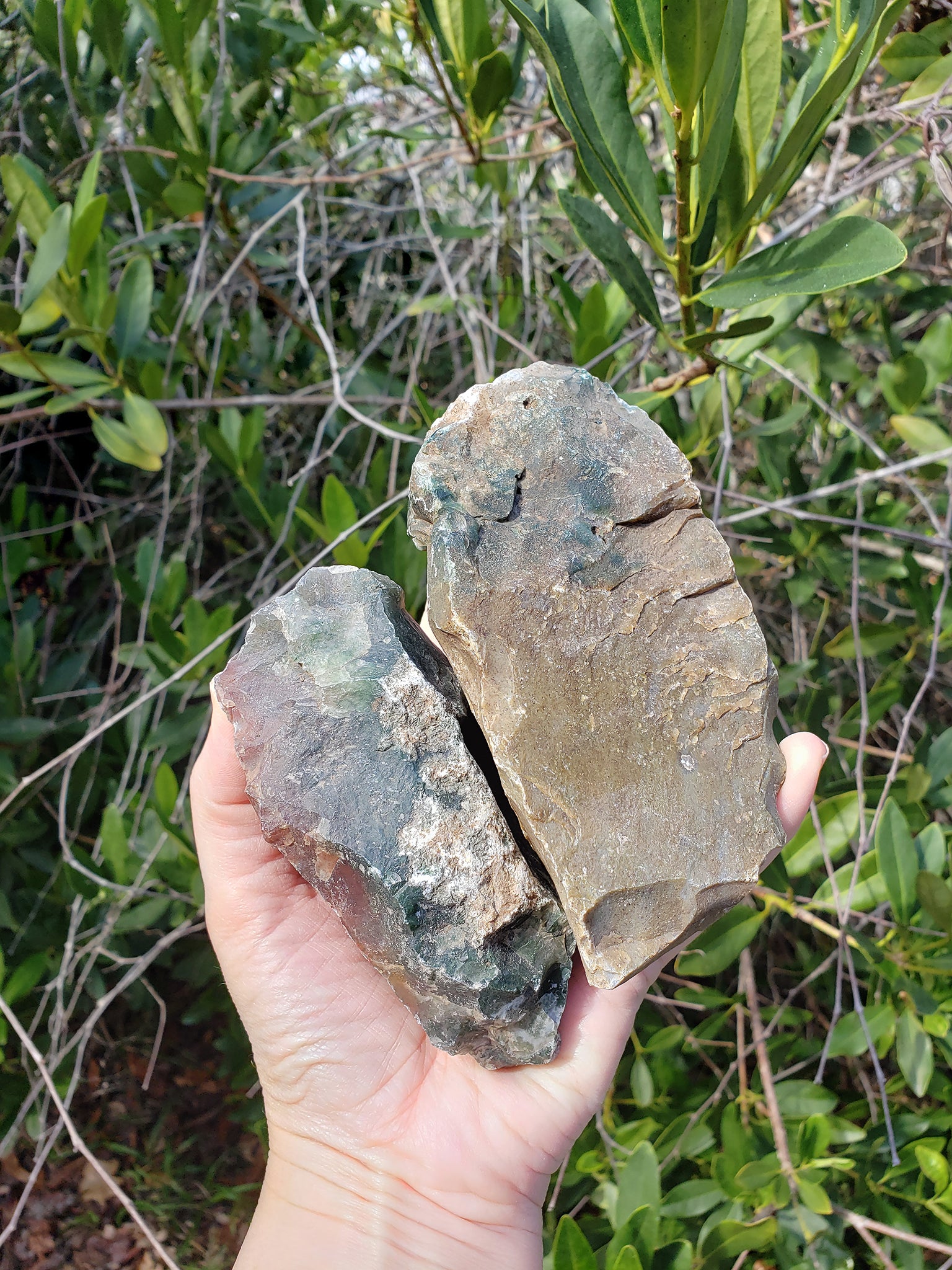 two large rough fancy jasper stones in hand
