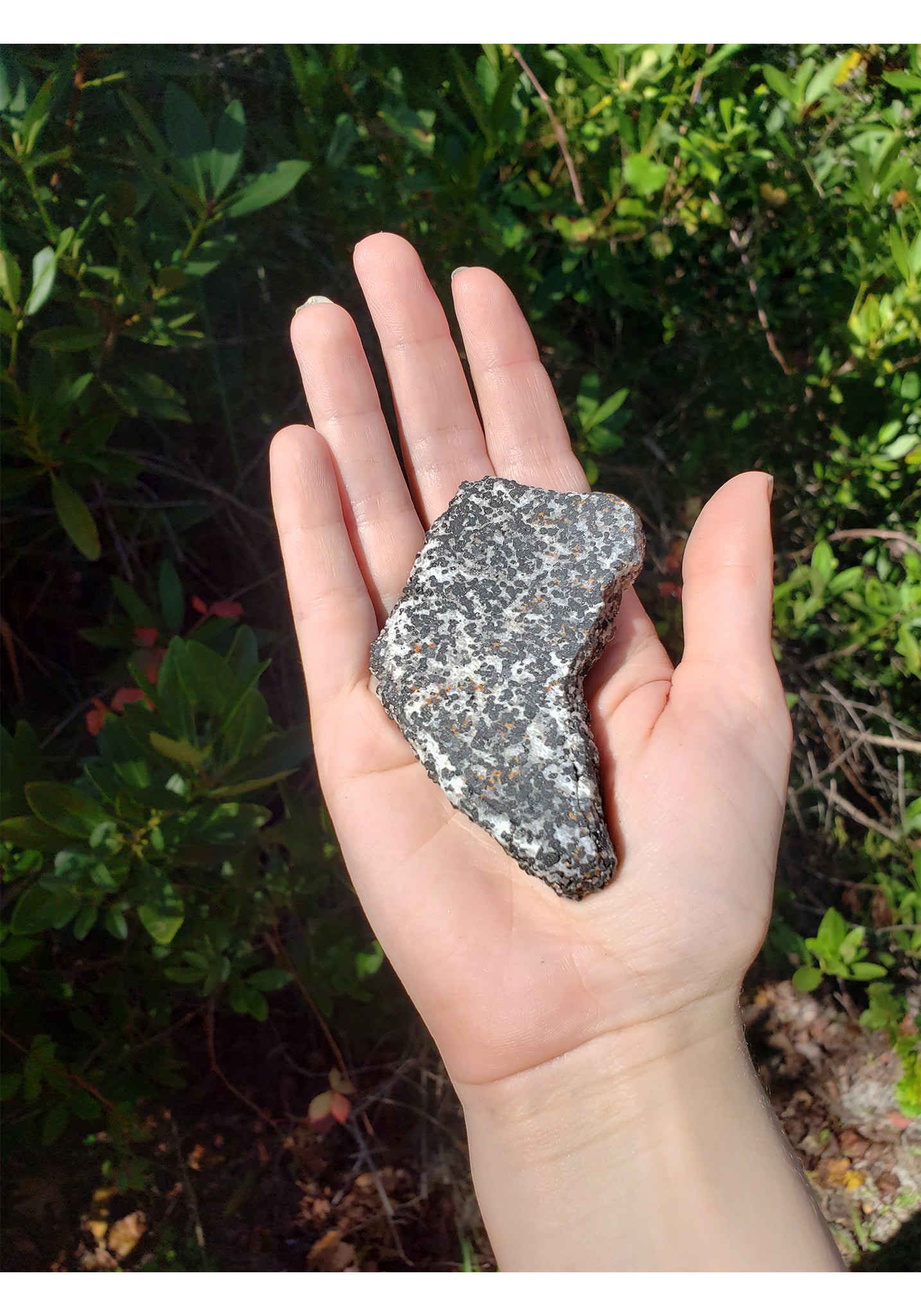 Franklin Willemite in Calcite Matrix Natural Gemstone Slab 4