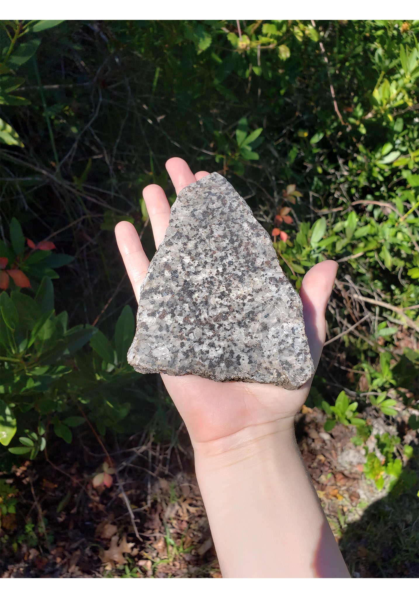 Franklin Willemite in Calcite Matrix Natural Gemstone Slab 5