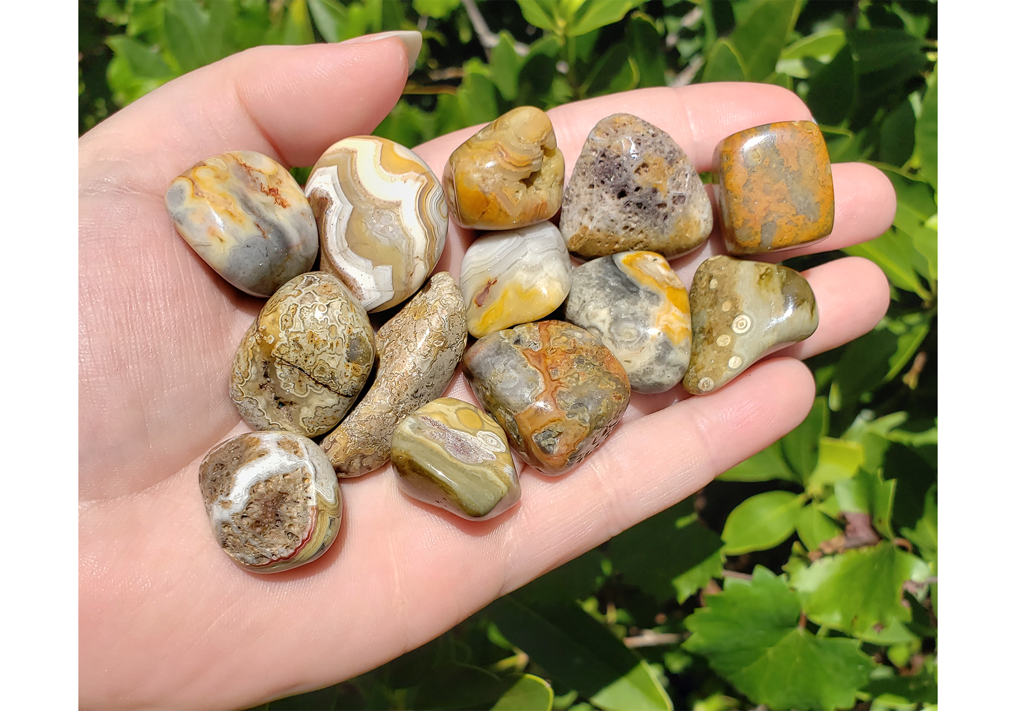 Golden Crazy Lace Agate Polished Tumbled Gemstone - Stone of Optimistic Thinking - 0.5" - 1"