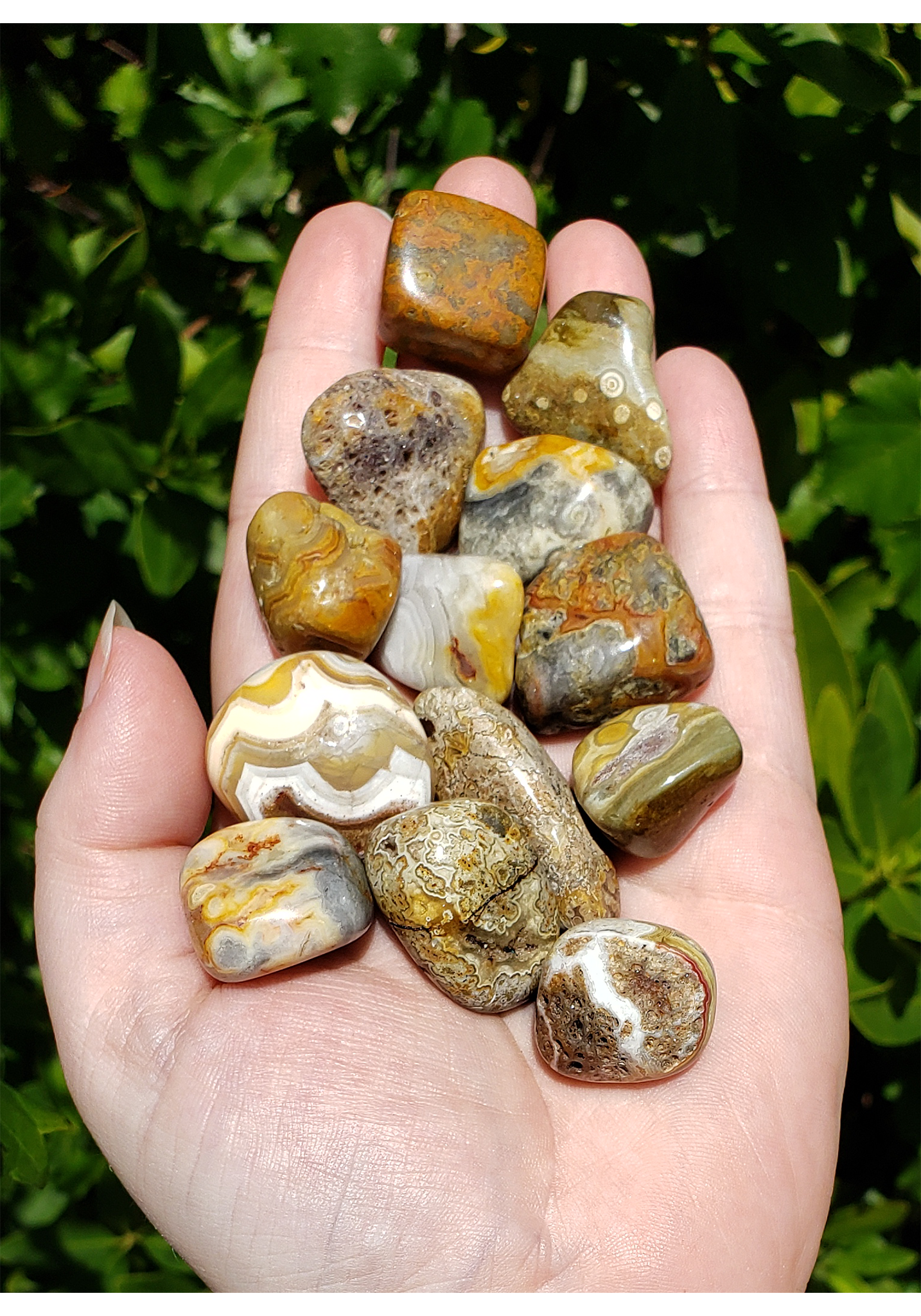 Golden Crazy Lace Agate Polished Tumbled Gemstone - Stone of Optimism - 0.5" - 1"