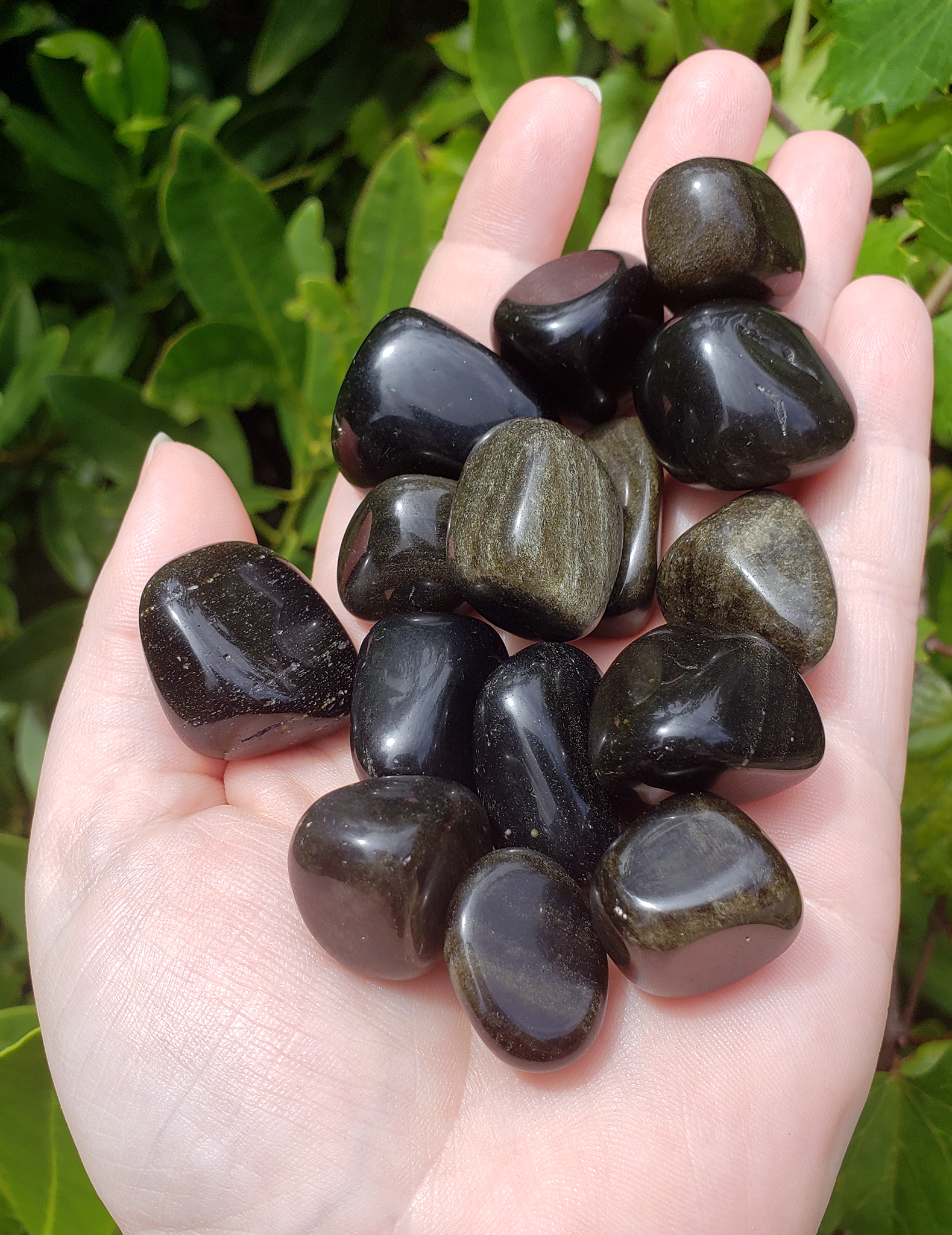 Gold Sheen Rainbow Obsidian Tumbled Gemstone - Stone of Lucid Dreams - 0.5&quot; - 1&quot;