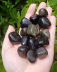 Gold Sheen Rainbow Obsidian Tumbled Gemstone - Stone of Lucid Dreams - 0.5" - 1"