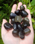 Gold Sheen Rainbow Obsidian Tumbled Gemstone - Stone of Lucid Dreams