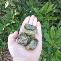 Green Opal Natural Tumbled Gemstone - Single Stone