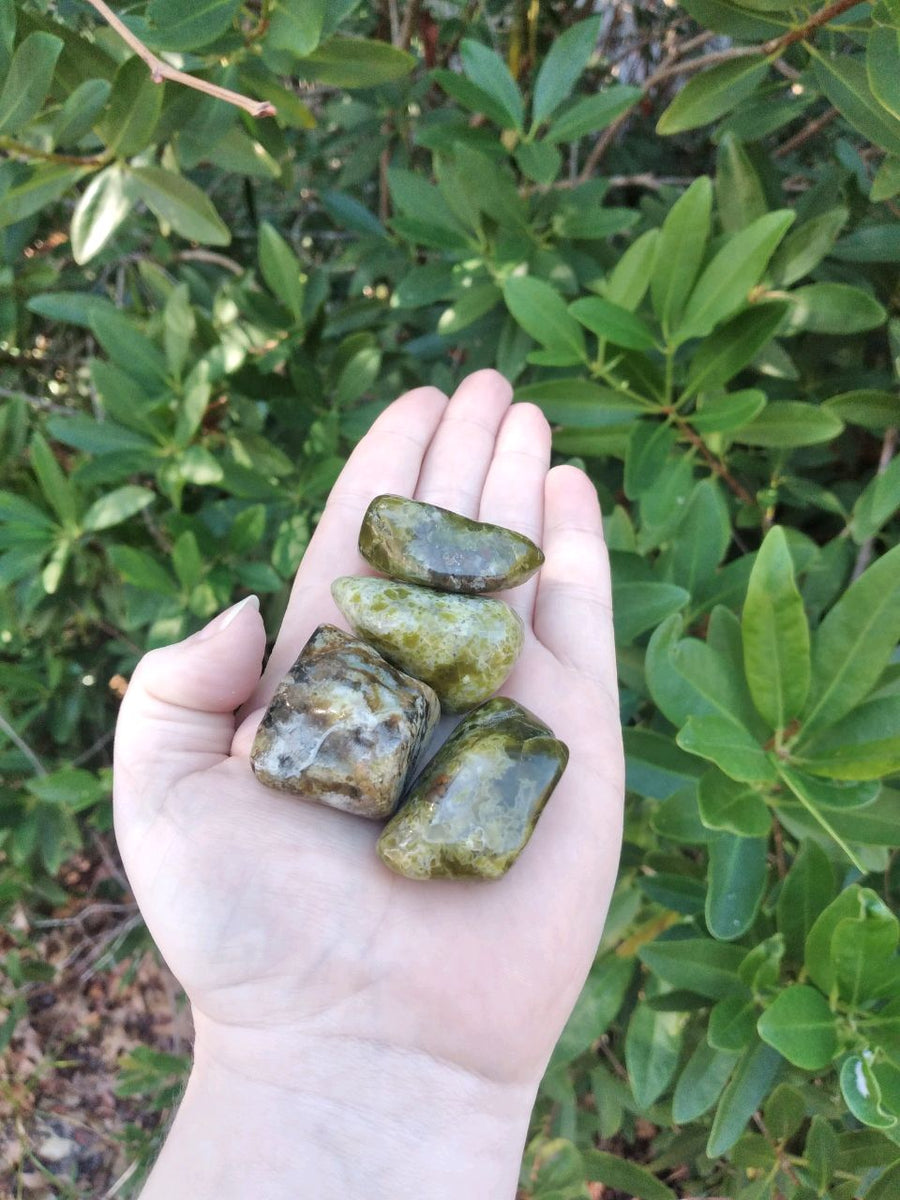 Green Opal Natural Tumbled Gemstone - Single Stone