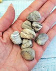 Grey Jasper Polished Tumbled Gemstones
