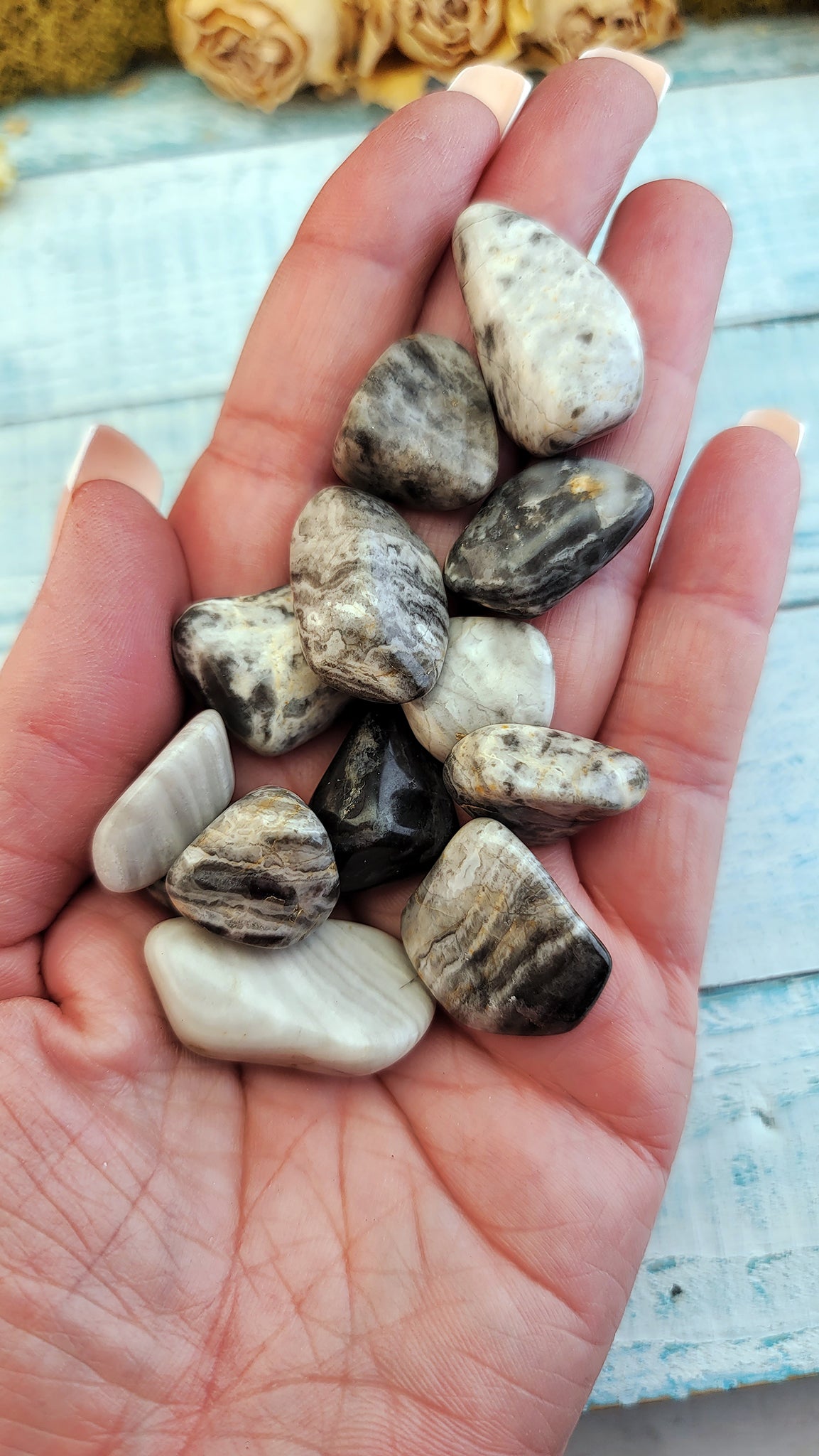 Grey Jasper Tumbled Gemstones