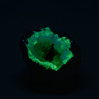 Chihuahua Trancas Natural Crystal Geode - Fluorescent - Cauldron of Hidden Gifts! - Small: 1.8" - 2.5" - With Shortwave Light!