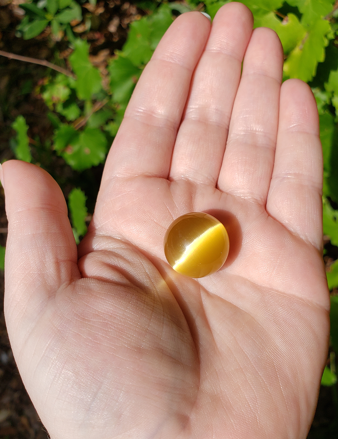Honey Gold Rainbow Cat's Eye Gemstone 20mm Orb Sphere Marble