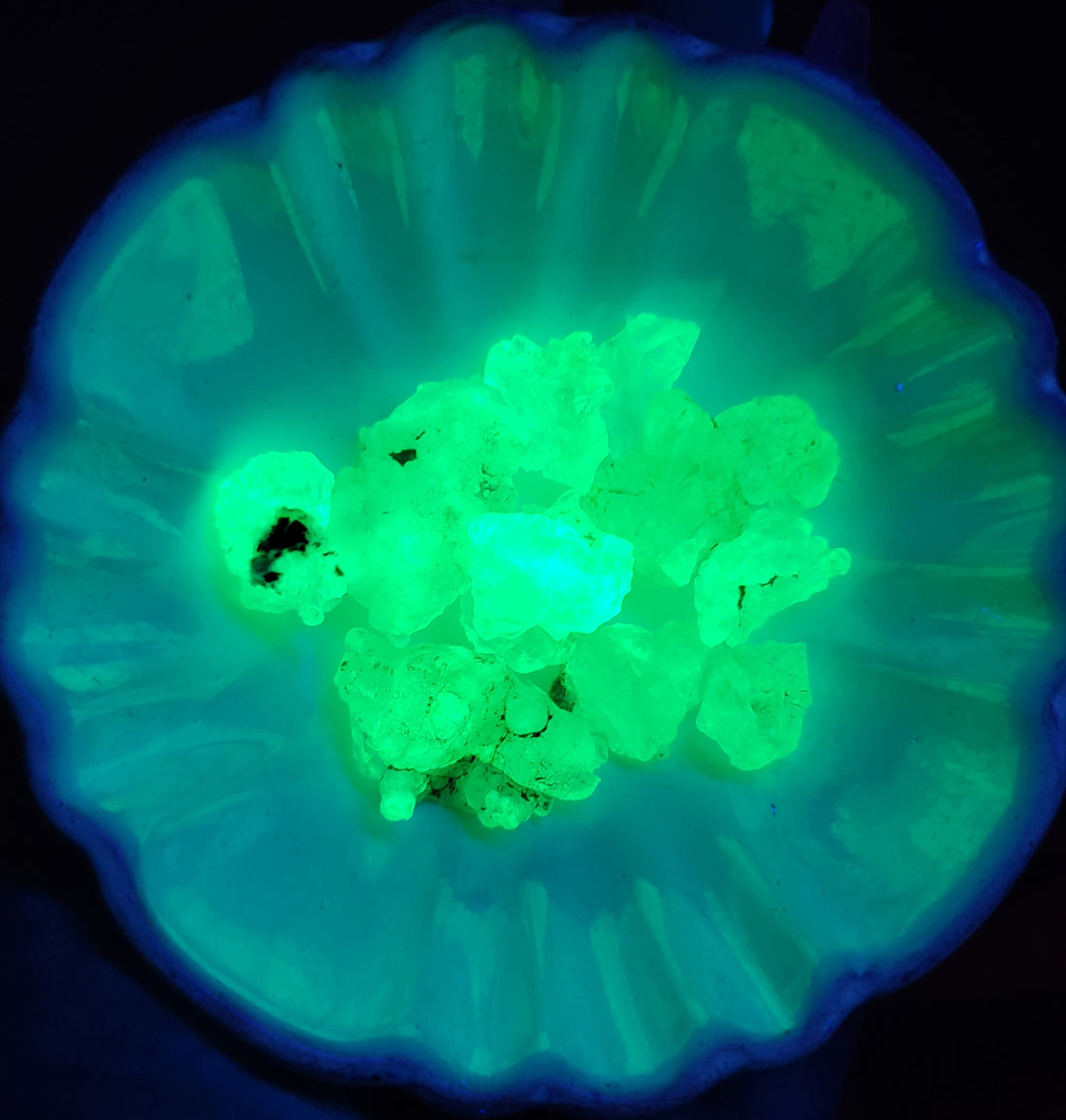 Hyalite Opal Natural Gemstone Pieces - Under Shortwave UV Light