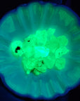 Hyalite Opal Natural Gemstone Pieces - Under Shortwave UV Light