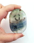 Jumbo Fluorite Polished Meditation Power Palm Stone -3