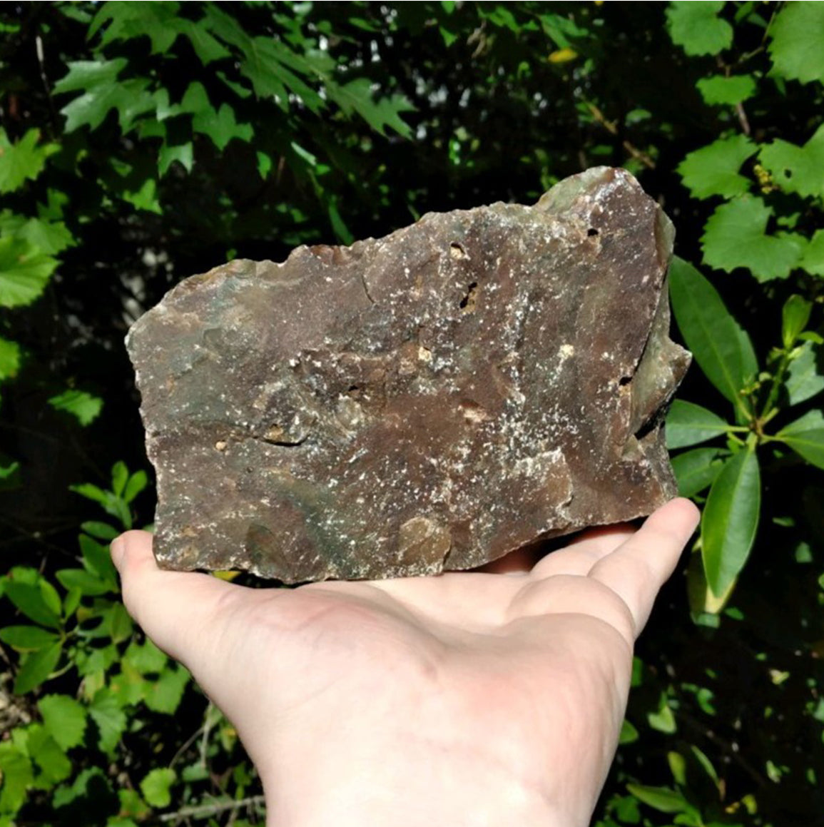 Fancy Jasper Natural Rough Gemstone Chunk - Jumbo [ 4.25" - 5.5" Length ]