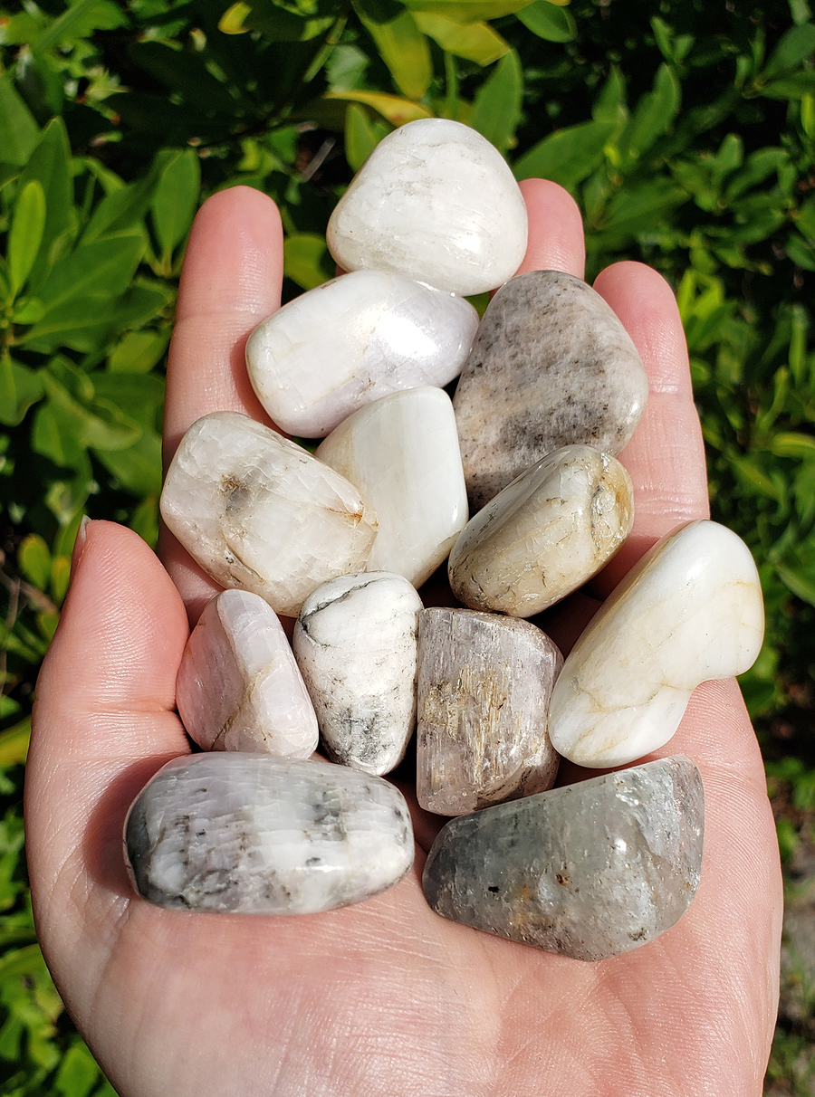 Kunzite Natural Tumbled Gemstone - Stone of Love and Happiness - Multiple Sizes!