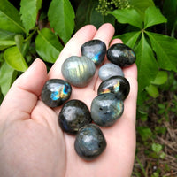 Sparkle Seed Labradorite Natural Gemstone Carving - [ 15mm - 25mm ]