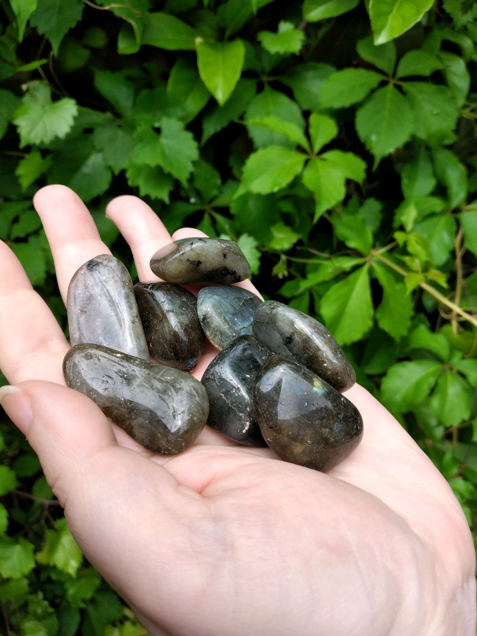 Labradorite Natural Tumbled Freeform Gemstone | Crystal Gemstone Shop