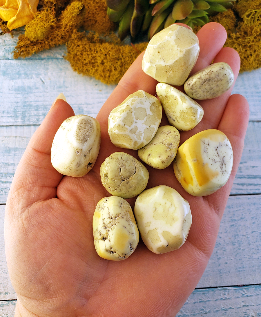 Lemon Chrysoprase Natural Tumbled Gemstone - Stone of Humanity - 0.5" - 1"