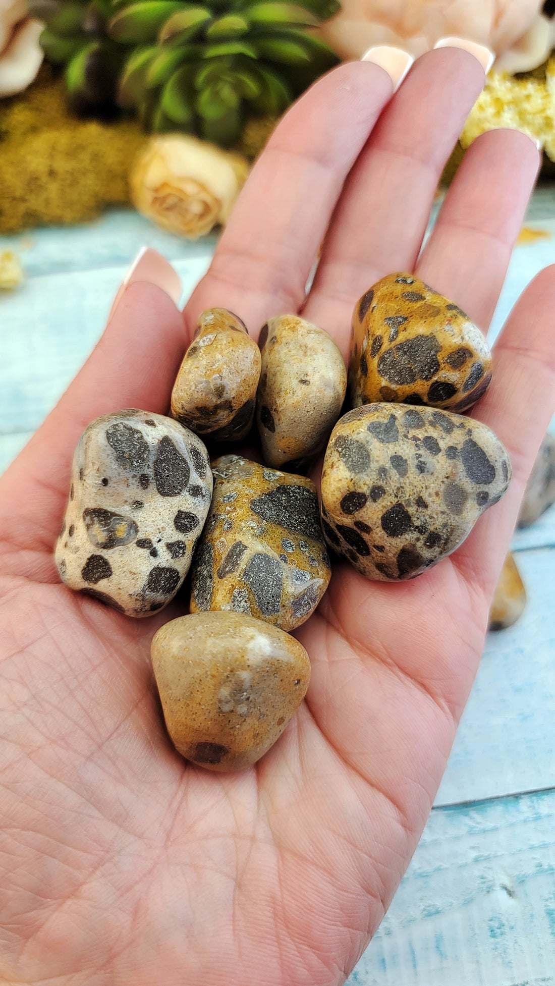 Leopardite Natural Tumbled Gems
