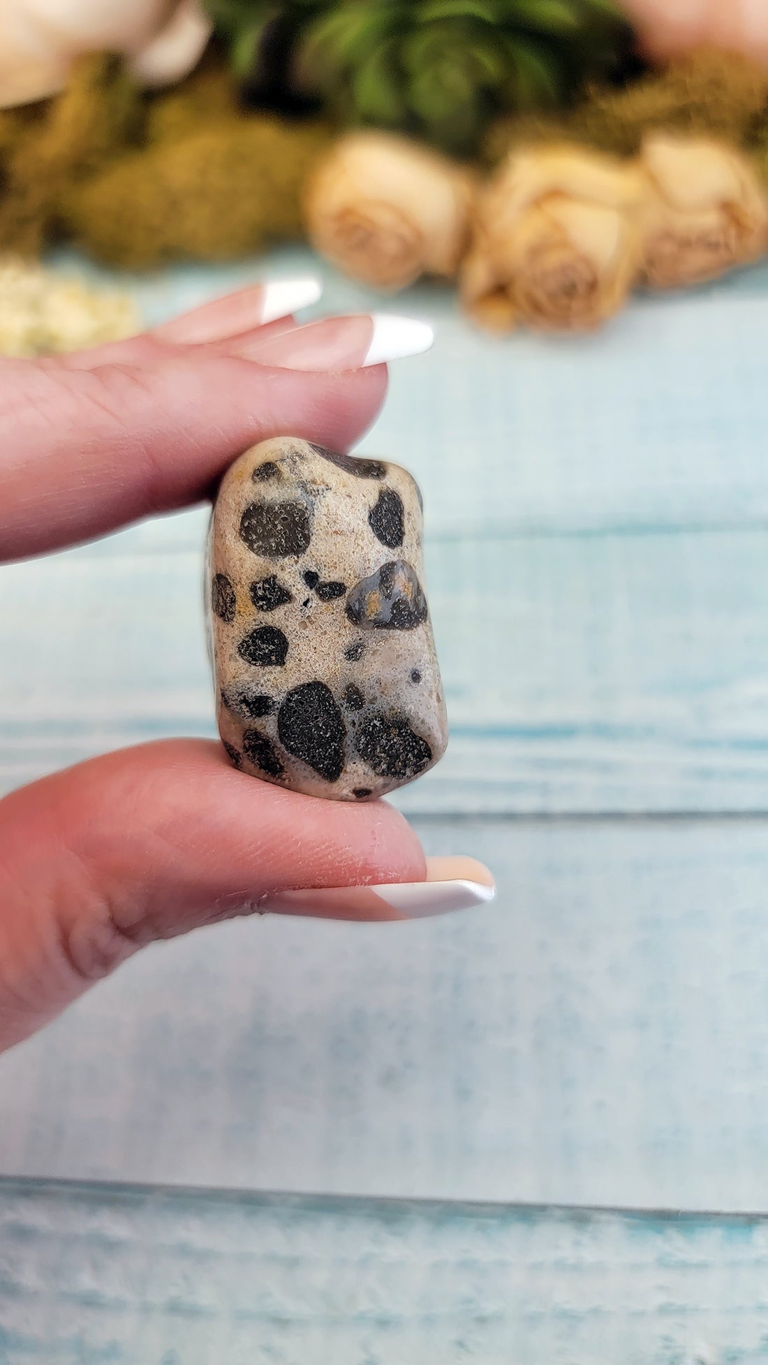 Leopardite Natural Tumbled Stone