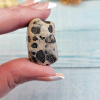 Leopardite Natural Tumbled Stone