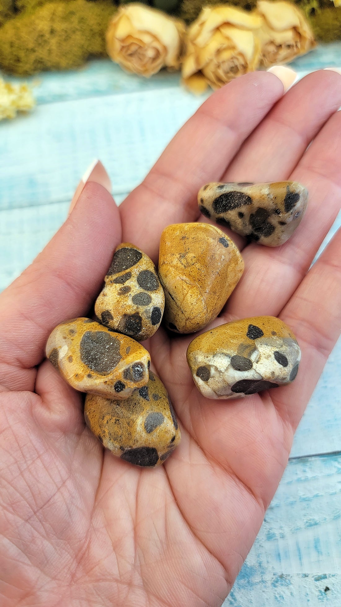 Leopardite Natural Tumbled Gems