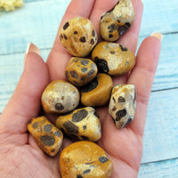 Leopardite Natural Tumbled Stones